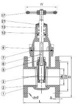 DIN Cast iron gate valve