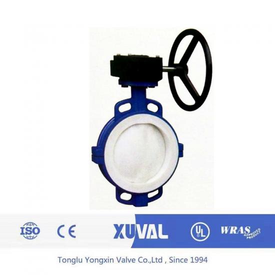 Fliorine-lined butterfly valve