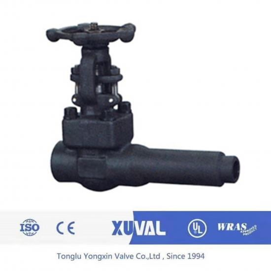 Extended body gate valve